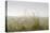 Dunes, Grass, the North Sea, Island Langeoog, Fog-Roland T.-Premier Image Canvas