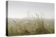 Dunes, Grass, the North Sea, Island Langeoog, Fog-Roland T.-Premier Image Canvas