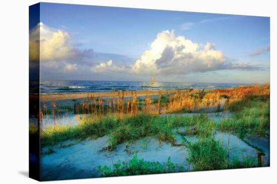 Dunes I-Alan Hausenflock-Premier Image Canvas