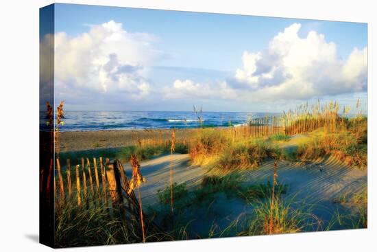 Dunes II-Alan Hausenflock-Premier Image Canvas