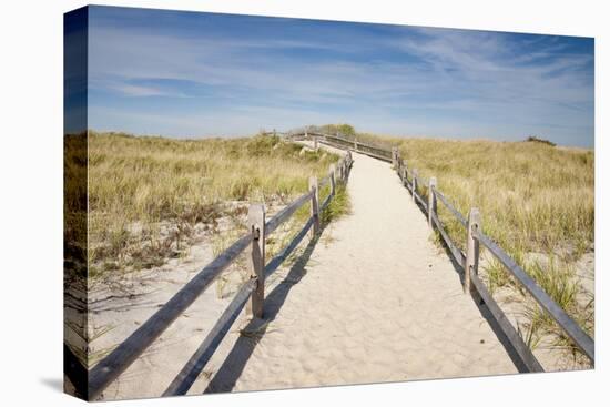 Dunes on Cape Cod National Sea Shore in Cape Cod, Boston, Usa-null-Premier Image Canvas