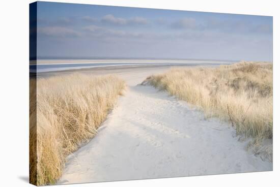 Dunes on Langeoog-Adam Brock-Stretched Canvas