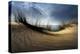 Dunes-Wim Schuurmans-Premier Image Canvas