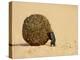 Dung Beetle Pushing a Ball of Dung, Masai Mara National Reserve, Kenya, East Africa, Africa-James Hager-Premier Image Canvas