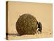 Dung Beetle Rolling a Dung Ball, Kruger National Park, South Africa, Africa-James Hager-Premier Image Canvas