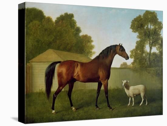 Dungannon, the Property of Colonel O'Kelly, Painted in a Paddock with a Sheep, 1793-George Stubbs-Premier Image Canvas