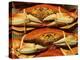 Dungeness Crab at Pike Place Public Market, Seattle, Washington State, USA-David Barnes-Premier Image Canvas