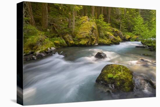Dungeness River, Buckhorn Wilderness, Olympic NF, Washington, USA-Gary Luhm-Premier Image Canvas