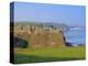 Dunluce Castle, County Antrim, Northern Ireland, UK, Europe-Charles Bowman-Premier Image Canvas