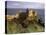 Dunluce Castle,Portrush, County Antrim, Ulster, Northern Ireland, UK-Patrick Dieudonne-Premier Image Canvas