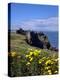 Dunluce-Charles Bowman-Premier Image Canvas