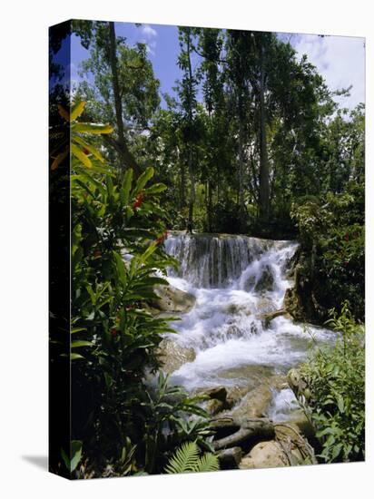 Dunns River Falls, Jamaica, Caribbean, West Indies, Central America-Robert Harding-Premier Image Canvas