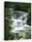 Dunns River Falls, Ocho Rios, Jamaica, West Indies, Caribbean, Central America-Harding Robert-Premier Image Canvas