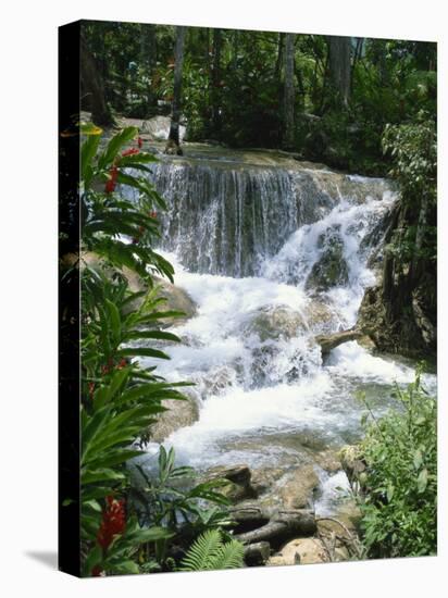 Dunns River Falls, Ocho Rios, Jamaica, West Indies, Caribbean, Central America-Harding Robert-Premier Image Canvas