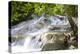 Dunns River Falls, Ocho Rios, Jamaica, West Indies, Caribbean, Central America-Doug Pearson-Premier Image Canvas