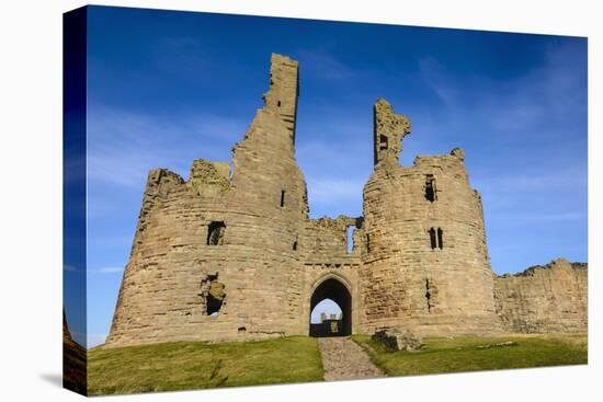 Dunstanburgh Castle, Northumberland, England, United Kingdom, Europe-Gary Cook-Premier Image Canvas
