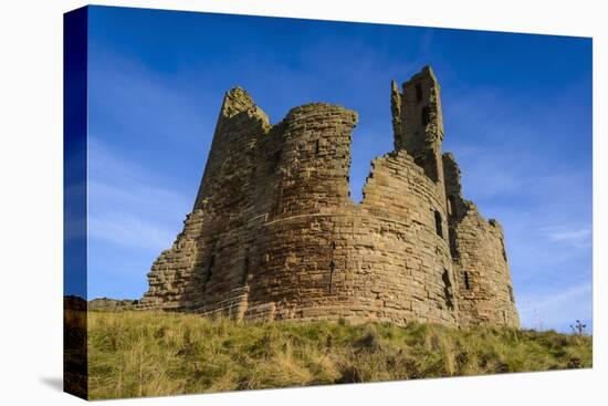 Dunstanburgh Castle, Northumberland, England, United Kingdom, Europe-Gary Cook-Premier Image Canvas