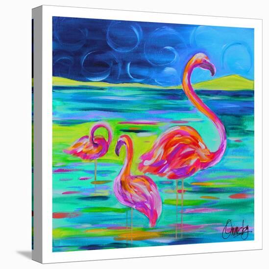Duo Flamingos-Anne Ormsby-Stretched Canvas