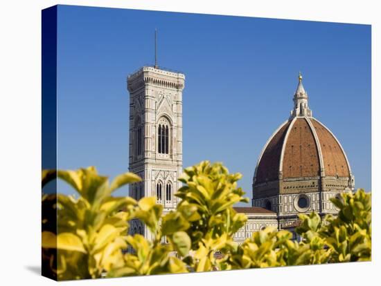 Duomo , Florence, UNESCO World Heritage Site, Tuscany, Italy, Europe-Tondini Nico-Premier Image Canvas