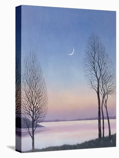 Dusk at Draycote, 2008-Ann Brain-Premier Image Canvas