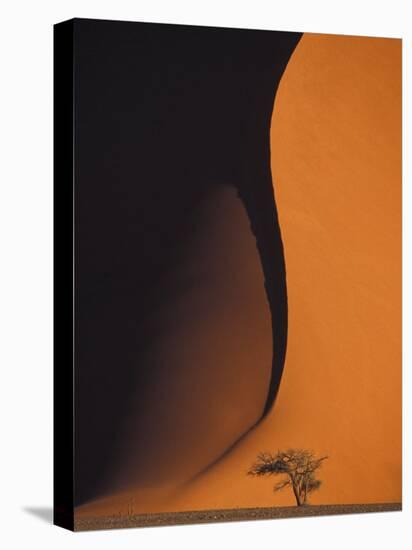 Dusk Falls on Soussevlei Sand Dunes, Namibia-Darrell Gulin-Premier Image Canvas