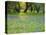 Dusk Through Oak Trees, Field of Texas Blue Bonnets and Phlox, Devine, Texas, USA-Darrell Gulin-Premier Image Canvas