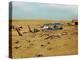 Dust Bowl-Science Source-Premier Image Canvas