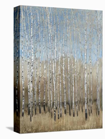 Dusty Blue Birches I-Tim OToole-Stretched Canvas