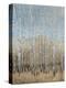Dusty Blue Birches I-Tim OToole-Stretched Canvas