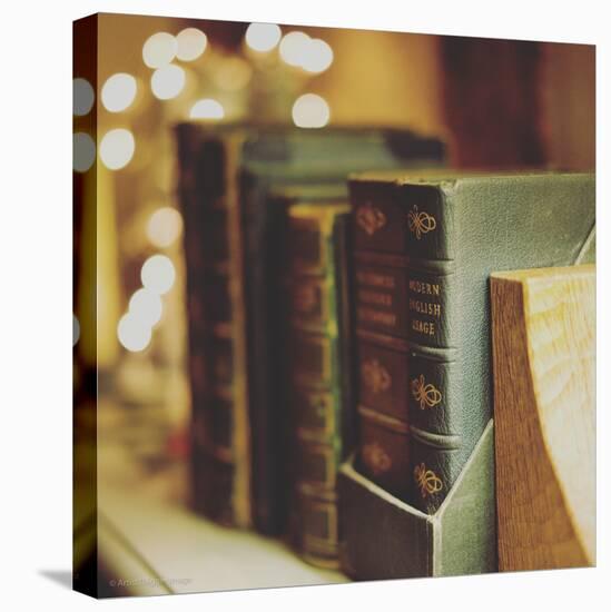 Dusty Books-Tim Kahane-Premier Image Canvas