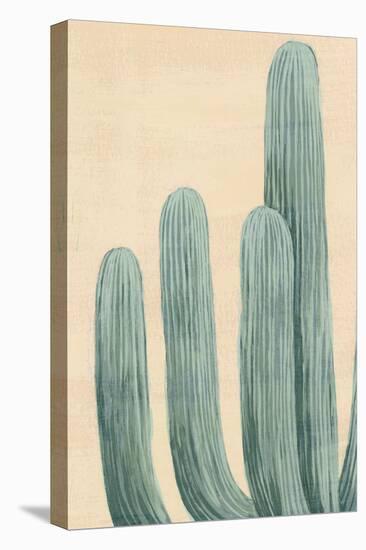 Dusty Cacti I-null-Stretched Canvas