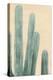Dusty Cacti II-null-Stretched Canvas