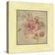 Dusty Pink Rose-Cheri Blum-Stretched Canvas