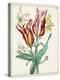 Dutch Florals XI-Unknown-Stretched Canvas