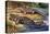 Dwarf Crocodile or Bony Crocodile (Osteolaemus Tetraspis), Crocodylidae-null-Premier Image Canvas