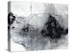 Dying Ember-Joshua Schicker-Premier Image Canvas