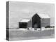 Dynamic Barn II-Ethan Harper-Stretched Canvas