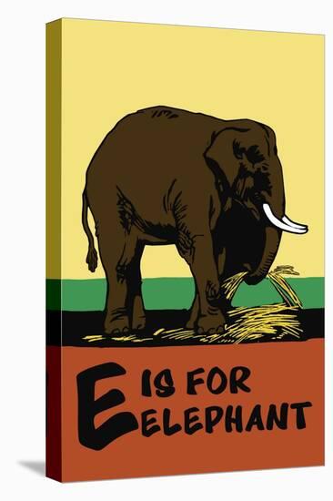 E is for Elephant-Charles Buckles Falls-Stretched Canvas