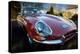 E-Type Jaguar-Tim Kahane-Premier Image Canvas