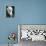 Eadweard Muybridge, English Photographer-Science Source-Premier Image Canvas displayed on a wall