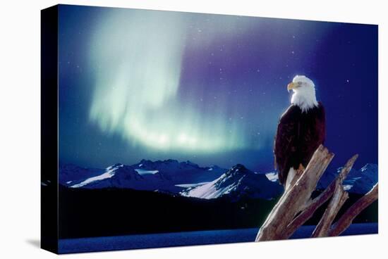 Eagle and Aurora Borealis-null-Stretched Canvas
