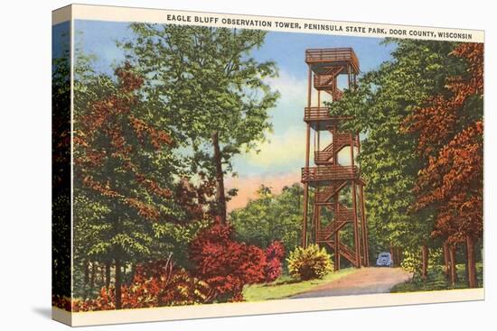 Eagle Bluff Observation Tower, Wisconsin-null-Stretched Canvas