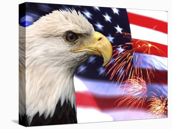 Eagle, Firework, Patriotism in the USA-Bill Bachmann-Premier Image Canvas