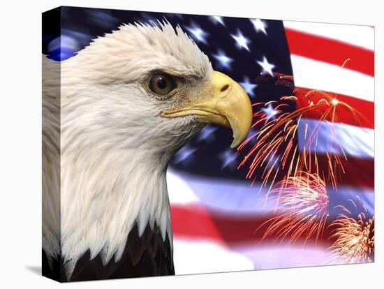 Eagle, Firework, Patriotism in the USA-Bill Bachmann-Premier Image Canvas