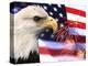 Eagle, Firework, Patriotism in the USA-Bill Bachmann-Premier Image Canvas