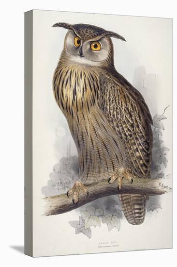 Eagle Owl, Bubo Maximus, 1832-1837-Edward Lear-Premier Image Canvas