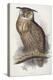 Eagle Owl, Bubo Maximus, 1832-1837-Edward Lear-Premier Image Canvas