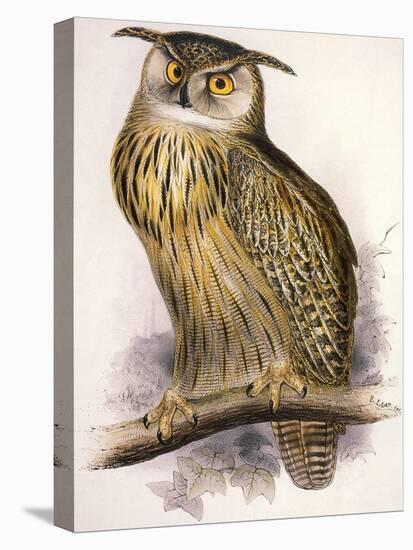 Eagle Owl, Bubo Maximus-Edward Lear-Premier Image Canvas