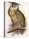 Eagle Owl, Bubo Maximus-Edward Lear-Premier Image Canvas