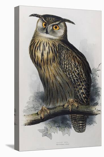 Eagle Owl, Lithographic Plate from "The Birds of Europe"-John Gould-Premier Image Canvas